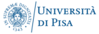 University of Pisa